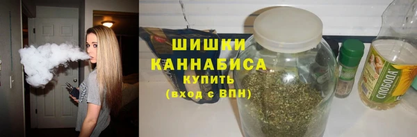 шишки Алексин