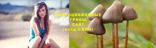 шишки Алексин