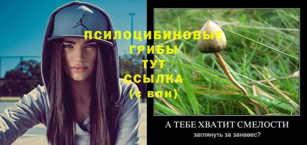ГАЛЛЮЦИНОГЕННЫЕ ГРИБЫ Алзамай