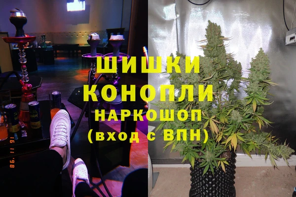 шишки Алексин