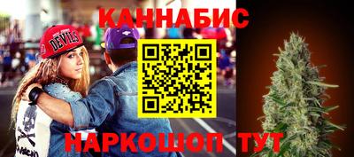 шишки Нарткала