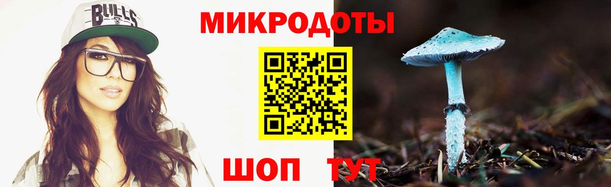 Галлюциногенные грибы Psilocybe Полысаево